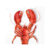 Lunsj Servietter Hummer 33x33cm – 0686423728594