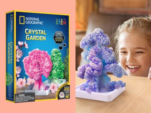 National Geographic Crystal Garden – 0810070621025