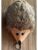 Party Pets hund – 5705833872774