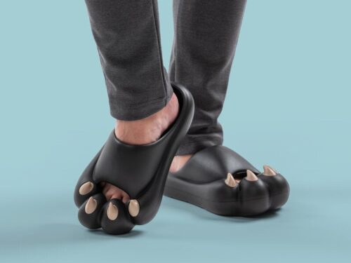 Paw Slippers – 7333251025175