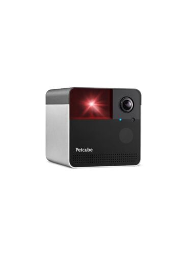 Petcube hund – 0854592007578