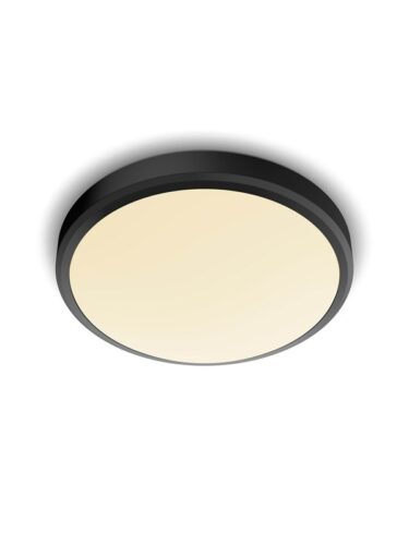 Philips DORIS CL257 EC RD 17W 27K B HV IP44 06 – 8719514326606