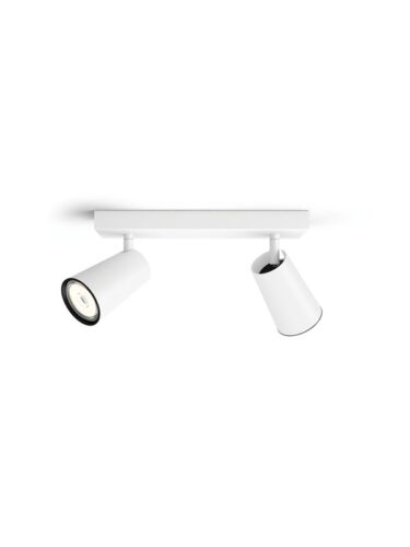 Philips PAISLEY bar/tube white 2xNW – 8718696164662