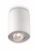 Philips PILLAR single spot white 1x50W 230V – 8718696156193