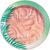 Physicians Formula Murumuru Butter Blush Natural Glow – 0044386068339