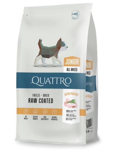 Quattro hund – 4770107250108