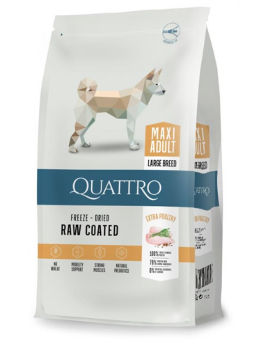 Quattro hund – 4770107250122