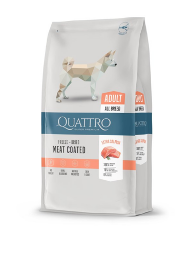 Quattro hund – 4770107254403