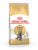 Royal Canin katt – 3182550756419