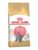 Royal Canin katt – 3182550816533