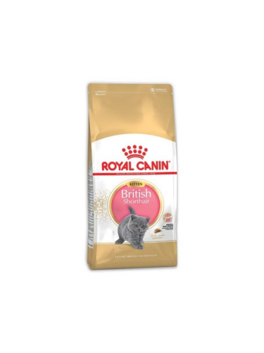 Royal Canin katt – 3182550816526