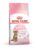 Royal Canin katt – 3182550877831