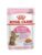 Royal Canin katt – 9003579007167