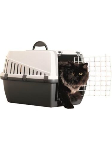 Savic katt – 5411388326104