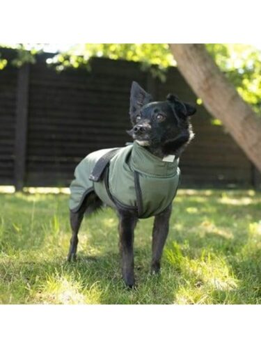 Siccaro hund – 5712033004584