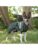 Siccaro hund – 5712033004621