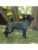Siccaro hund – 5712033004645