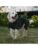 Siccaro hund – 5712033004676