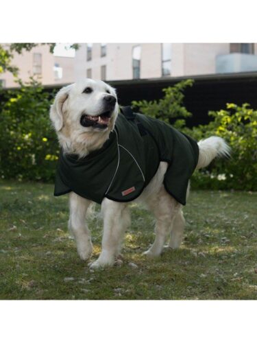 Siccaro hund – 5712033004676