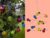Solcelledrevet lysslynge – flerfarget – 7391482056399