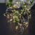 Star Trading Dew LED-lyslenke Mini 4 m – 7391482059406