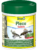 Tetra fisk – 4004218134867