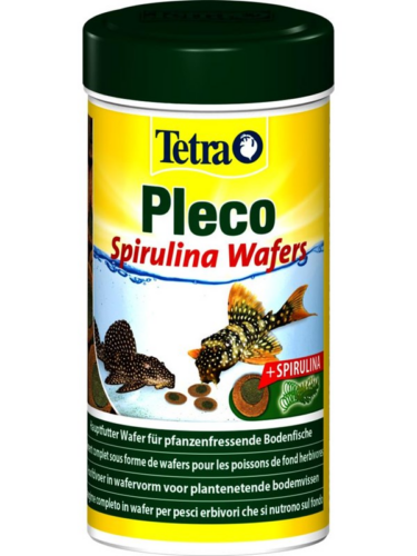 Tetra fisk – 4004218300026