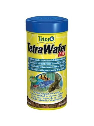 Tetra fisk – 4004218202832