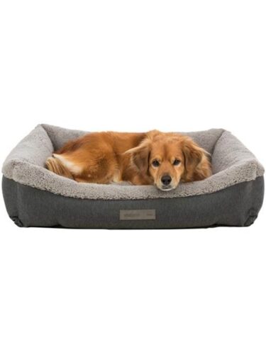 Trixie hund – 4011905382791