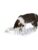 Trixie katt – 4011905045900