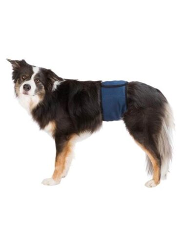 Trixie hund – 4011905236650