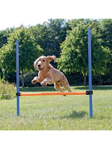 Trixie hund – 4011905032078