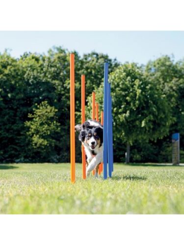 Trixie hund – 4011905032061