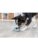 Trixie hund – 4011905333434