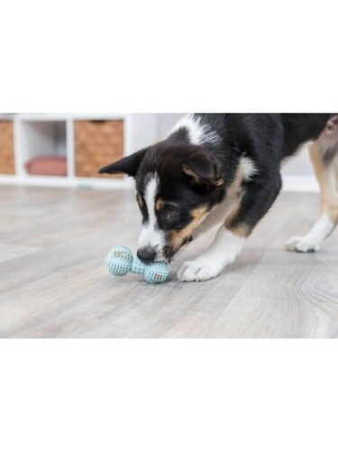 Trixie hund – 4011905333434