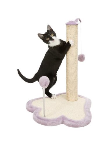 Trixie katt – 4011905429311