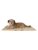 Trixie hund – 4047974372012