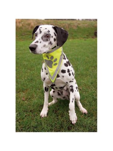Trixie hund – 4011905301211
