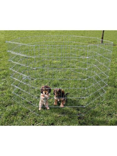 Trixie hund – 4011905039541