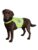 Trixie hund – 4011905300849