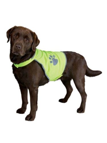 Trixie hund – 4011905300849